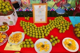 Gian hàng trưng bày giới thiệu sản phẩm hồng không hạt Bảo Lâm tại ngày hội. (Ảnh: Quang Duy/TTXVN)