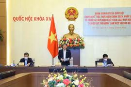 Phó Chủ tịch Quốc hội Nguyễn Đức Hải phát biểu chỉ đạo. (Ảnh: Văn Điệp/TTXVN)