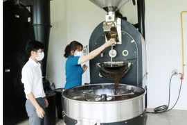 Dây chuyền sản xuất tại Công ty TNHH PM Coffee, thành phố Buôn Ma Thuột, Đắk Lắk. (Ảnh: Tuấn Anh/TTXVN)