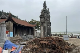 Gốc đa đã bị chặt hạ nằm sát cổng đình Chèm. (Nguồn: baovanhoa.vn)