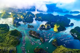 Ảnh minh họa. (Nguồn ảnh: TTXVN)