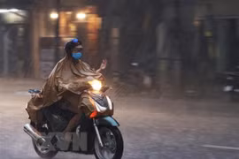(Ảnh minh họa: Dương Giang/TTXVN)