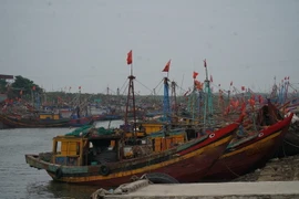 Tàu cá nằm bờ do giá xăng dầu và chi phí vật tư đầu vào tăng mạnh. (Ảnh: Bích Huệ/TTXVN)