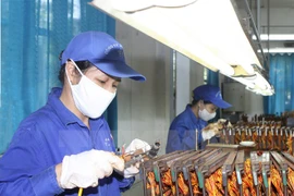 Công nhân quốc phòng làm việc tại Công ty Hóa chất 21 thuộc Bộ Quốc phòng. (Ảnh: Thái Bình/TTXVN)