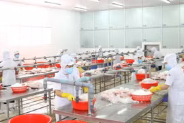 Khu vực chế biến thủy sản xuất khẩu. (Ảnh: Xuân Anh/TTXVN)