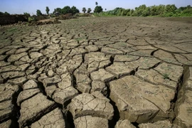 Một cánh đồng nứt nẻ vì khô hạn ở Jureif Gharb, Ethiopia. (Ảnh: AFP/TTXVN)