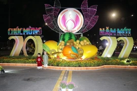 Tiểu cảnh Đường Hoa Xuân Tết Nhâm Dần năm 2022 tại thành phố Cao Lãnh (Đồng Tháp). Ảnh: Nguyễn Văn Trí- TTXVN