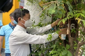 Treo thí điểm cốc nuôi nang chứa trứng muỗi vằn mang Wolbachia trước cửa nhà dân. (Ảnh: Huyền Trang/TTXVN)