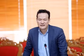 Phó Chủ nhiệm Ủy ban Nhà nước về người Việt Nam ở nước ngoài Mai Phan Dũng. (Ảnh: Anh Tuấn/TTXVN)