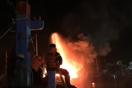 (Ảnh minh họa: TTXVN phát)