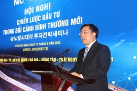 Ông Trần Duy Đông, Thứ trưởng Bộ Kế hoạch và Đầu tư phát biểu tại hội nghị. (Ảnh: Xuân Anh/TTXVN)