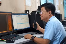 Hoạt động nghiệp vụ của hải quan Thành phố Hồ Chí Minh. (Ảnh: TTXVN phát) 