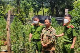 Đối tượng Nguyễn Thanh Duy bị bắt giữ. (Nguồn: nld.com.vn)