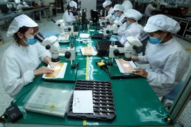 Sản xuất linh kiện điện tử xuất khẩu. (Ảnh: Phạm Kiên/TTXVN)