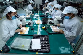 Sản xuất linh kiện điện tử xuất khẩu. (Ảnh: Phạm Kiên/TTXVN)