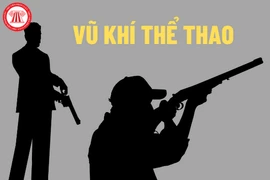 Lâm Đồng: Tàng trữ trái phép vũ khí thể thao, bị phạt 30 triệu đồng