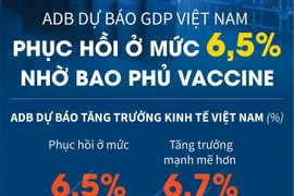 ADB dự báo GDP Việt Nam phục hồi ở mức 6,5% nhờ bao phủ vaccine
