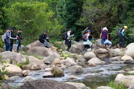Du khách trải nghiệm tour dã ngoại, leo núi Chư Yang Lắk ở huyện Lắk, tỉnh Đắk Lắk. (Ảnh: Hoài Thu/TTXVN)