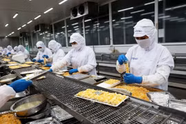 Dây chuyền chế biến sản phẩm tôm xuất khẩu tại nhà máy chế biến thủy sản COFIDEC, Khu công nghiệp Vĩnh Lộc, huyện Bình Chánh, TP Hồ Chí Minh. (Ảnh: Hồng Đạt/TTXVN)