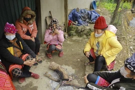 Người dân vùng cao đốt lửa sưởi ấm trong thời tiết giá rét. (Ảnh: Xuân Tư/TTXVN)