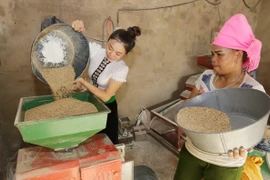 (Ảnh minh họa: Trần Việt/TTXVN)