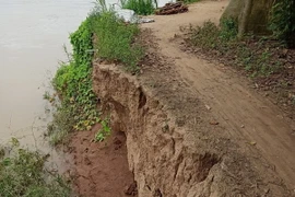 Hiện trường vụ sạt lở bờ Tây sông Hậu. (Ảnh: TTXVN phát)