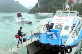 Cảng tàu khách Cái Rồng, huyện Vân Đồn, tỉnh Quảng Ninh. (Ảnh: TTXVN phát)