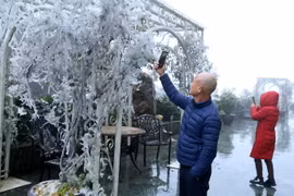 Đông đảo khách du lịch lên đỉnh đèo Ô Quý Hồ chiêm ngưỡng hiện tượng kỳ thú này. (Ảnh: Quốc Khánh/TTXVN)