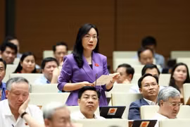 Đại biểu Quốc hội tỉnh Bắc Giang Đỗ Thị Việt Hà đặt câu hỏi chất vấn. (Ảnh: Phạm Kiên/TTXVN)