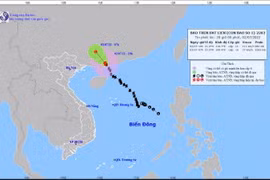 Dự báo vị trí và đường đi của bão số 1. (Nguồn: Trung tâm Dự báo Khí tượng Thủy văn Trung ương)