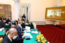 Trợ lý Bộ trưởng Bộ Ngoại giao Đỗ Hùng Việt phát biểu trực tuyến. (Ảnh: An Đăng/TTXVN)