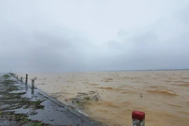 Cánh đồng lúa ở xã Hải Quế, huyện Hải Lăng, tỉnh Quảng Trị, bị nhấn chìm trong nước do mưa lớn. (Ảnh: Nguyên Lý/TTXVN)