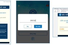 Bảo hiểm xã hội bổ sung chức năng cấp lại mật khẩu miễn phí qua email. (Ảnh: PV/Vietnam+)