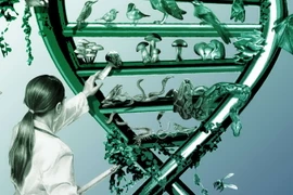 (Nguồn: westobserver.com)