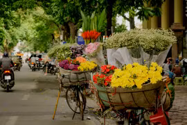 [Photo] Những gánh hàng rong chở cả mùa thu Hà Nội