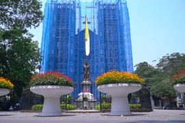 [Video] Nhà thờ lớn đang được ''khoác tấm áo màu xanh'' đặc biệt 