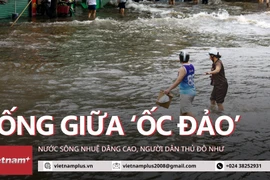 Người dân Thủ đô như sống giữa 'ốc đảo' vì nước sông Nhuệ dâng cao 