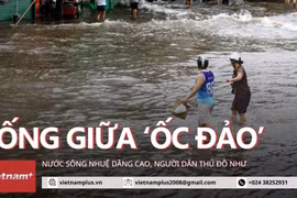 Người dân Thủ đô như sống giữa 'ốc đảo' vì nước sông Nhuệ dâng cao 