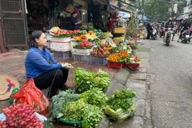 Nguồn cung thực phẩm tại các chợ trên địa bàn thành phố Hà Nội đang dồi dào, giá cả không có nhiều biến động. (Ảnh minh hoạ: Minh Hiếu/Vietnam+)