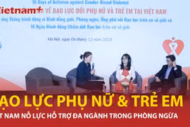 Việt Nam nỗ lực hợp tác đa ngành trong phòng ngừa bạo lực với phụ nữ và trẻ em