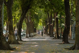 [Photo] Ngắm lá vàng rơi trên con phố lãng mạn bậc nhất Hà thành