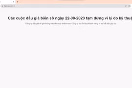 Trang web đấu giá biển ôtô số đẹp đã sập ngay trong ngày đầu tiên. (Ảnh chụp màn hình)
