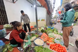 Nguồn cung thực phẩm rau xanh, thịt dồi dào tại các chợ trên địa bàn Thủ đô sau kỳ nghỉ Tết Nguyên đán. (Ảnh: Minh Hiếu/Vietnam+)