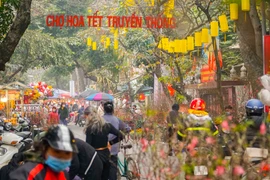 [Photo] Chợ hoa cổ nhất Hà Nội rực rỡ sắc màu những ngày cận Tết 