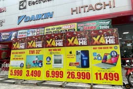 Các siêu thị điện máy 'tận dụng' những dịp Lễ lớn để tung ra các chương trình khuyến mãi, kích cầu tiêu dùng. (Ảnh: PV/Vietnam+)
