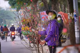 [Photo] Tiểu thương mòn mỏi chờ người mua đào, quất những ngày cận Tết