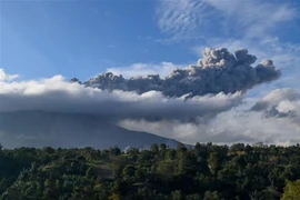 Cột tro bụi phun lên từ miệng núi lửa Sinabung ở Karo, Bắc Sumatra, Indonesia, ngày 8/8. (Ảnh: AFP/TTXVN)