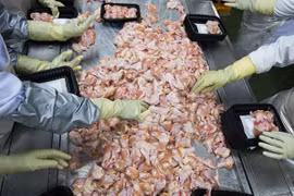 Ảnh minh họa. (Nguồn: Bloomberg)