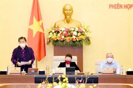 Phó Chủ tịch Thường trực Quốc hội Tòng Thị Phóng phát biểu. (Ảnh: Trọng Đức/TTXVN)
