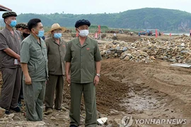 Tân Thủ tướng Triều Tiên Kim Tok-hun thị sát vùng thiên tai lũ lụt. (Nguồn: Yonhap)